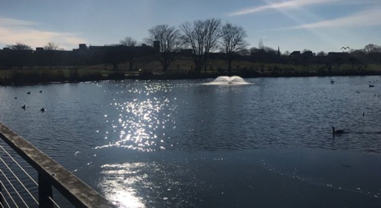 Burgess Park lake 