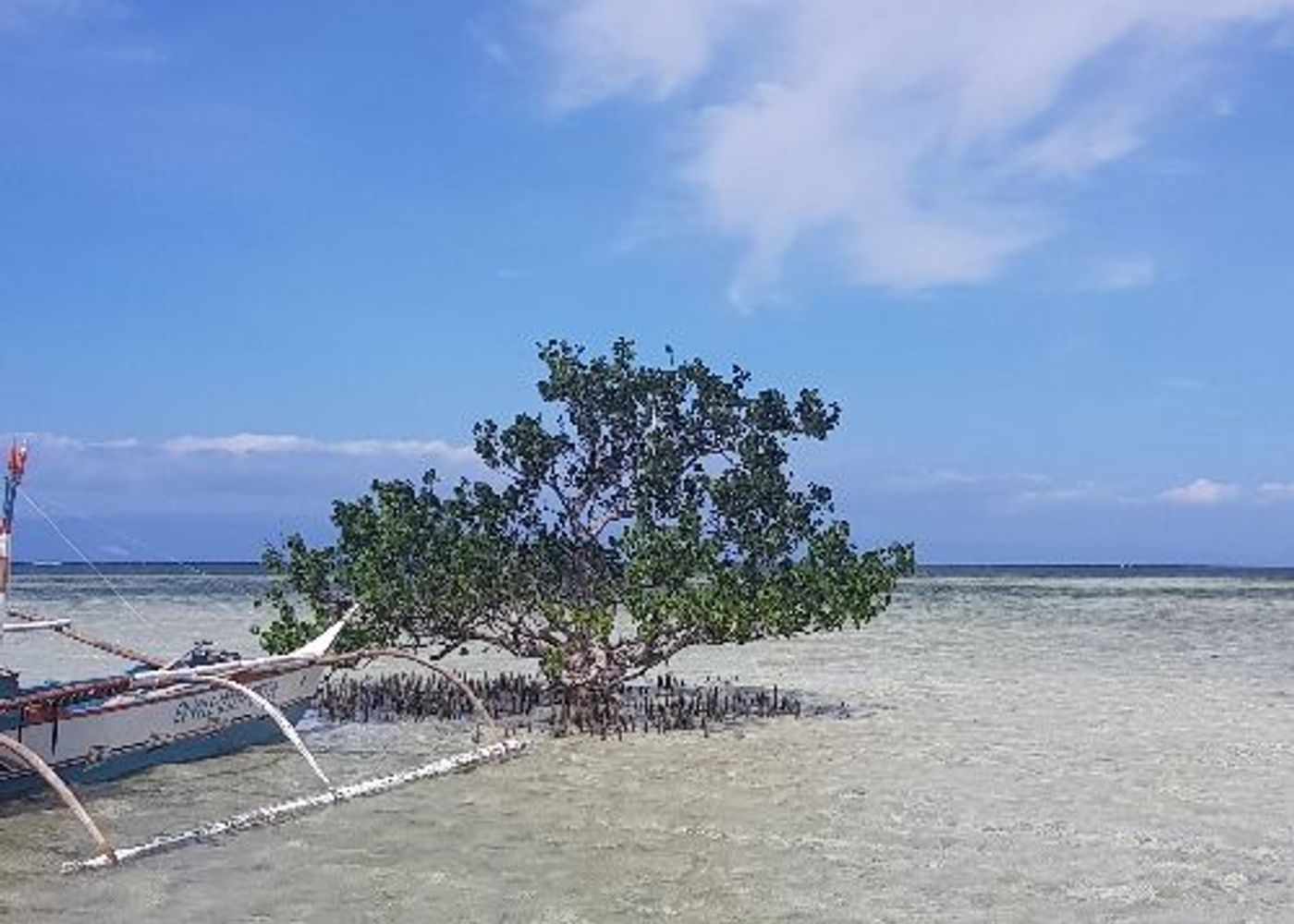 Virgin Island 1