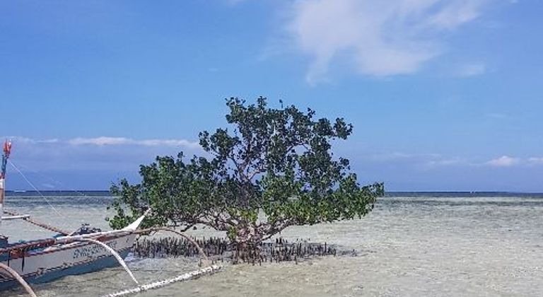 Virgin Island