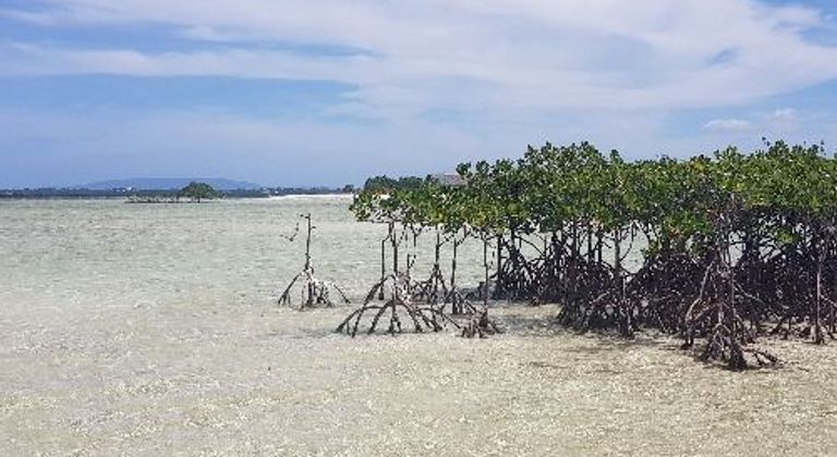 Virgin Island
