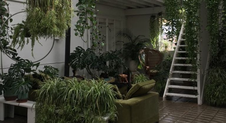 Clapton Tram is a 2000Sqft plant filled Victorian daylight studio