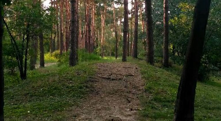 Возвышенность в парке