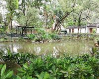 Sam Tung UK Garden 2
