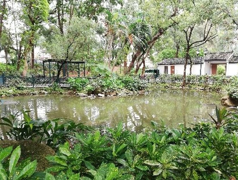 Sam Tung UK Garden 2
