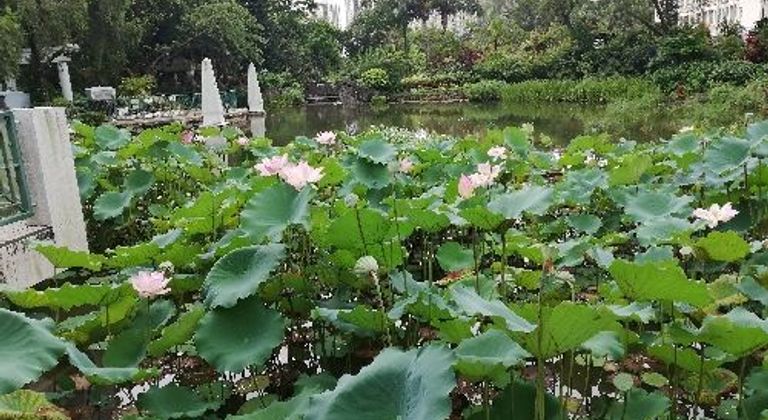 Shing Mun Valley Park