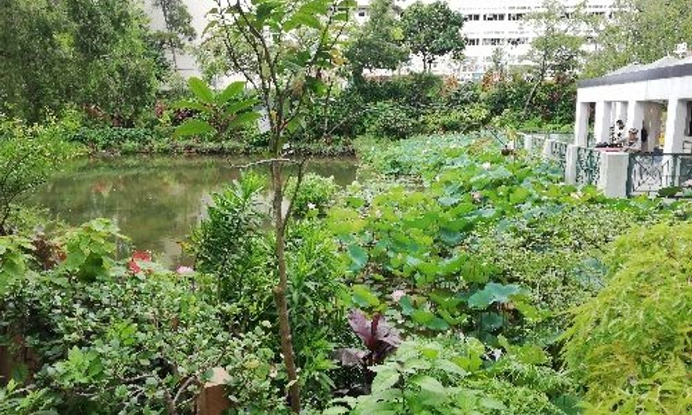 Shing Mun Valley Park