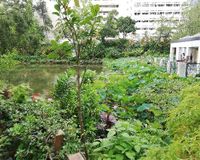 Shing Mun Valley Park 3