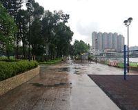 Tsuen Wan Riviera park 2