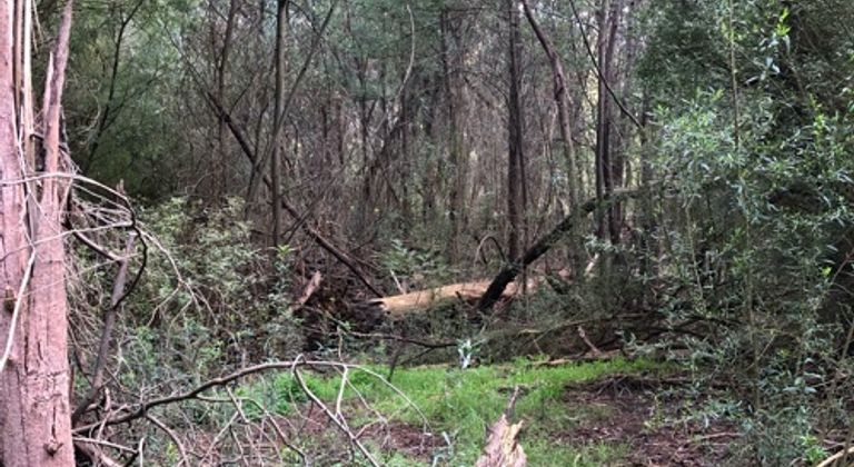 Nature - portrait location