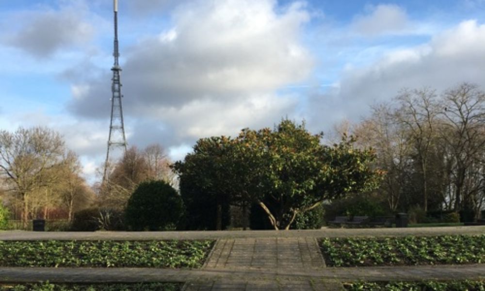 Crystal Palace Park