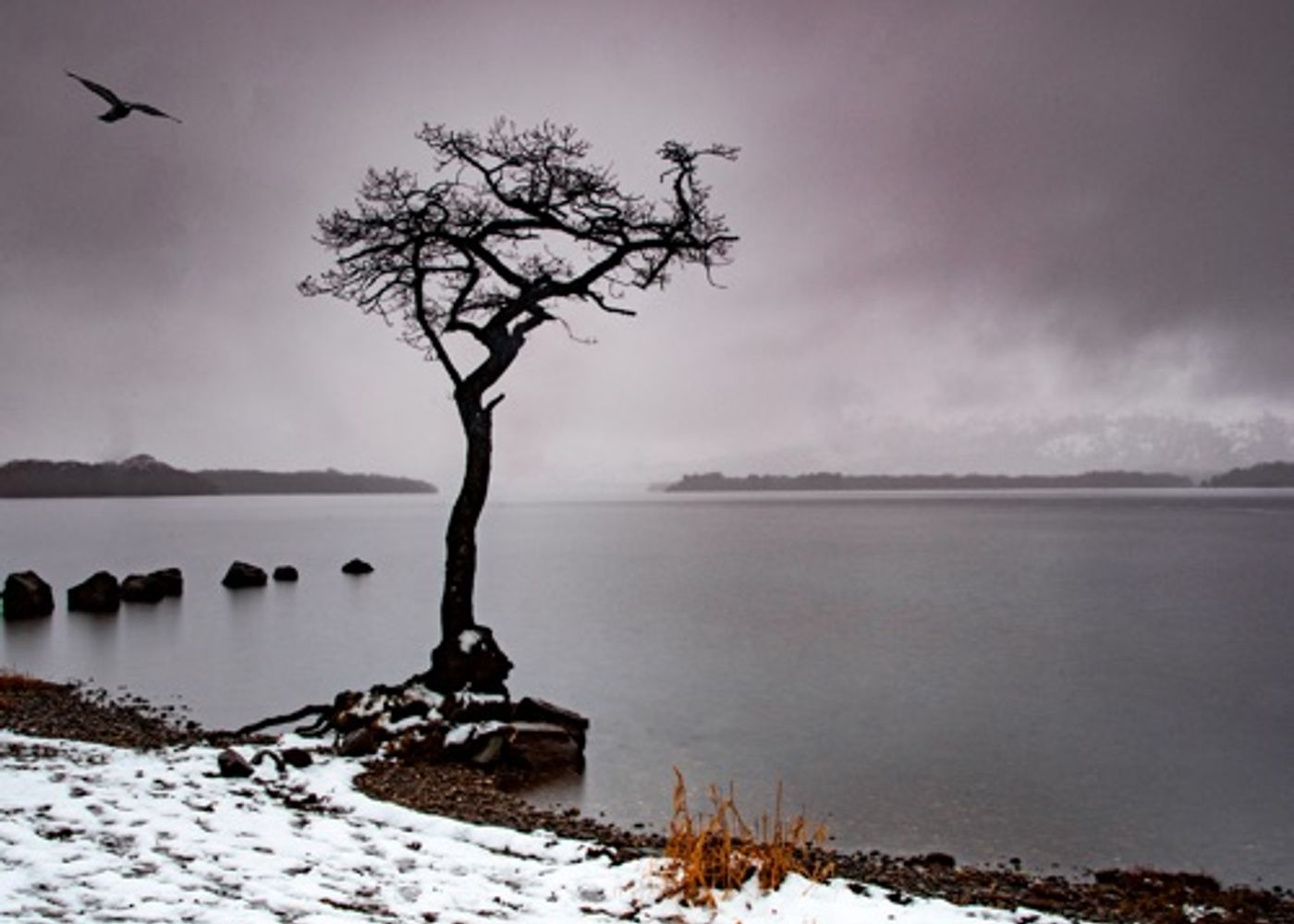 Millarochy Bay 1
