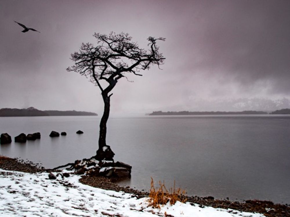 Millarochy Bay — image 1