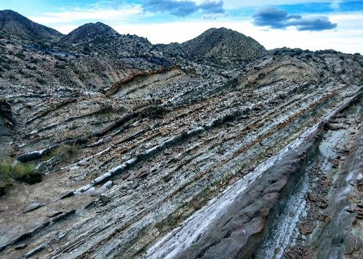 Tabernas 1