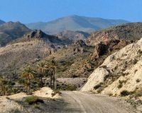Tabernas 3