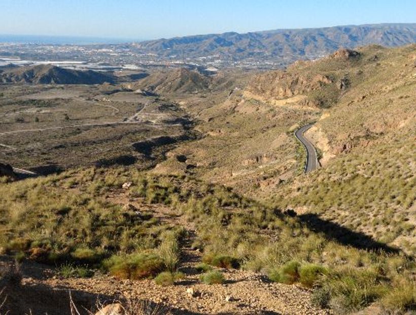 Tabernas 4
