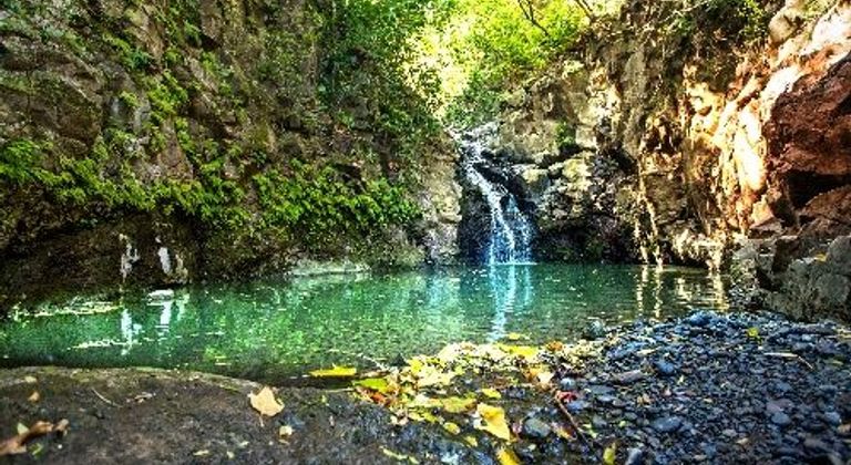 Kau'i - Maui, Hawai'i