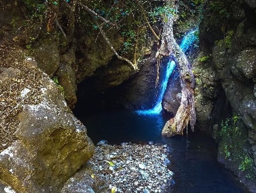 Kau'i - Maui, Hawai'i 4