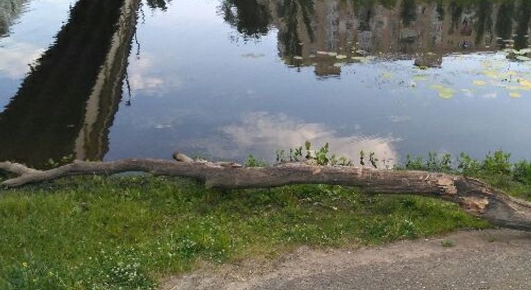 Pishokhidnyi mist Rusanivs'ka