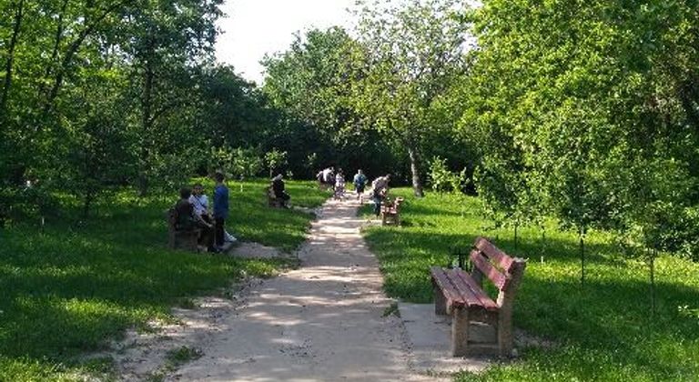 Зелёная Долина и прожектор