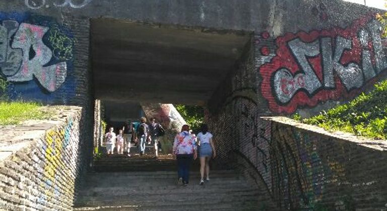 Зелёная Долина и прожектор