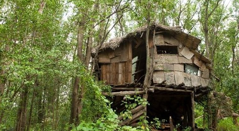Treehouse abandoned