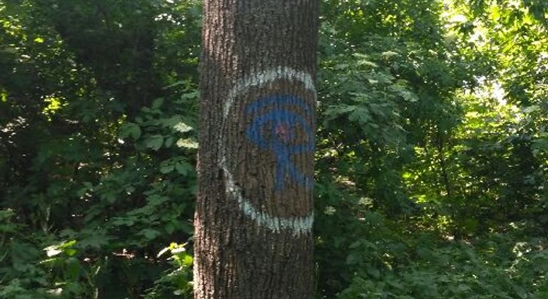 Мистическое кладбище