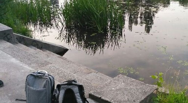 Ступеньки к воде