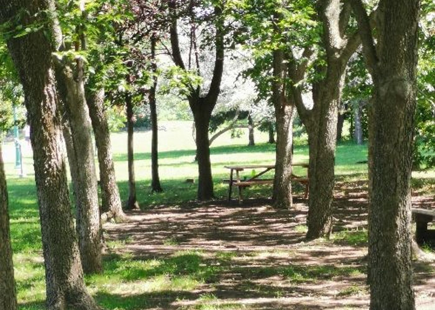 Parc à côté pont chemin de fer laval 1