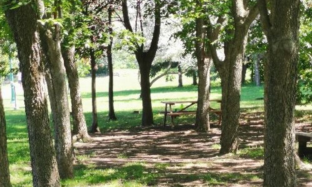 Parc à côté pont chemin de fer laval