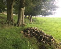 Ravensleach Farm 3
