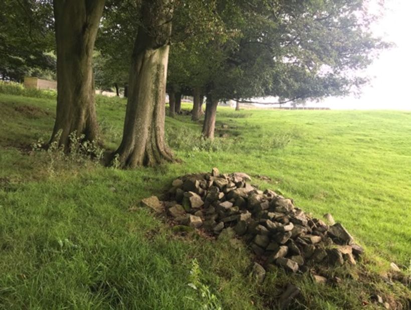 Ravensleach Farm 3