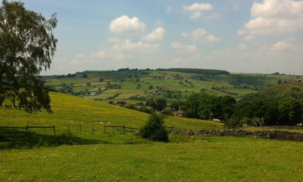 Ravensleach Farm