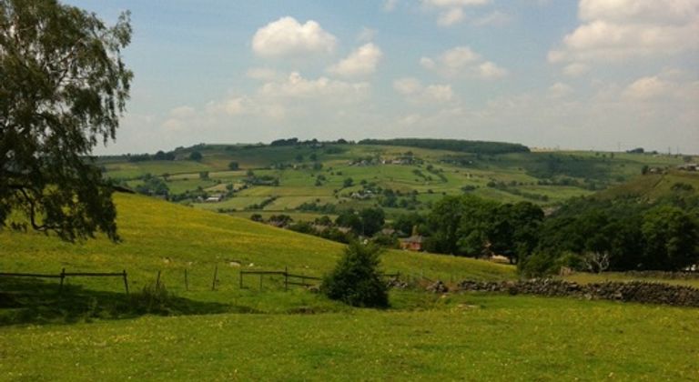 Ravensleach Farm