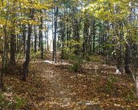 Boundary Creek Forest path 3