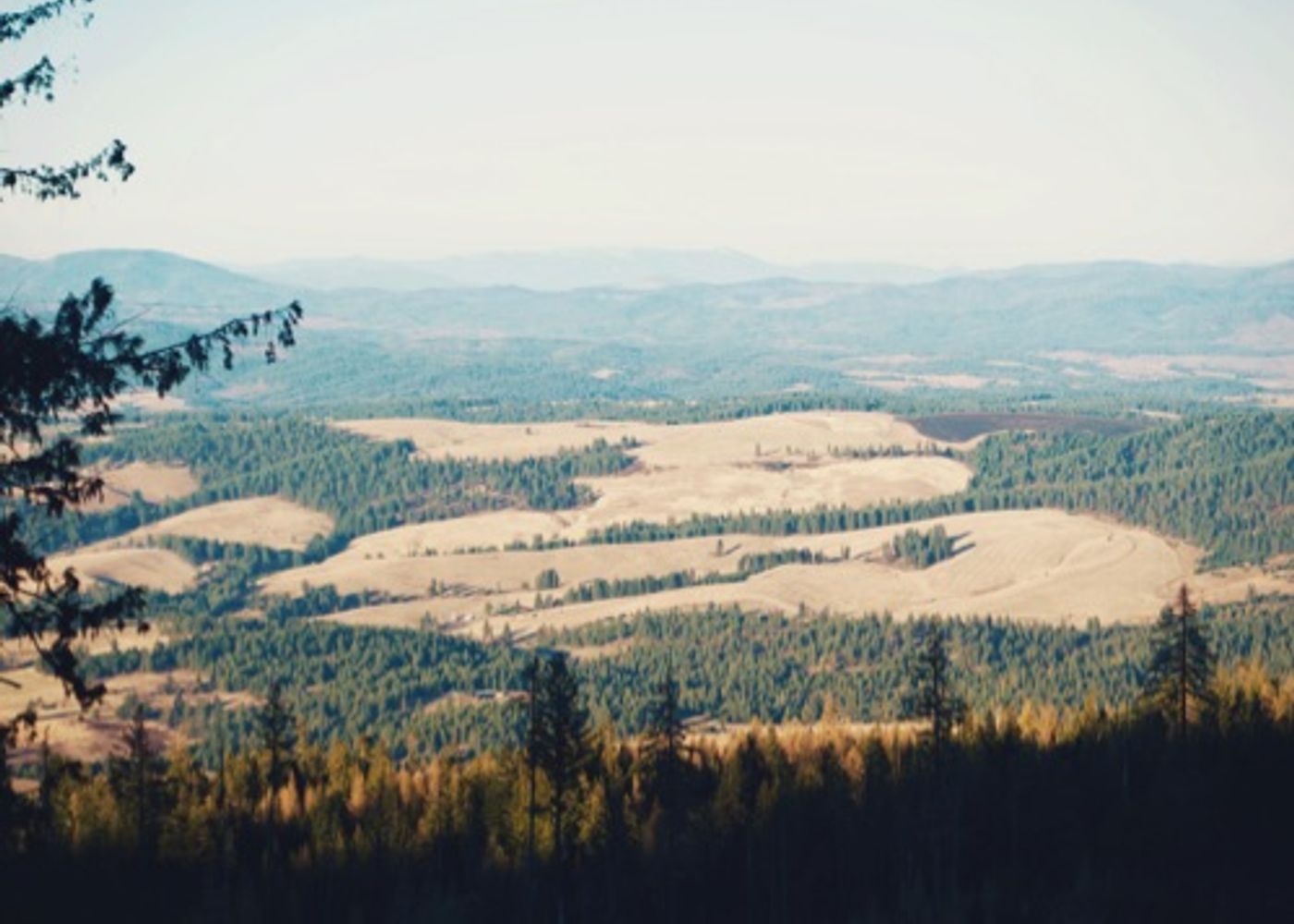 East Lookout 1