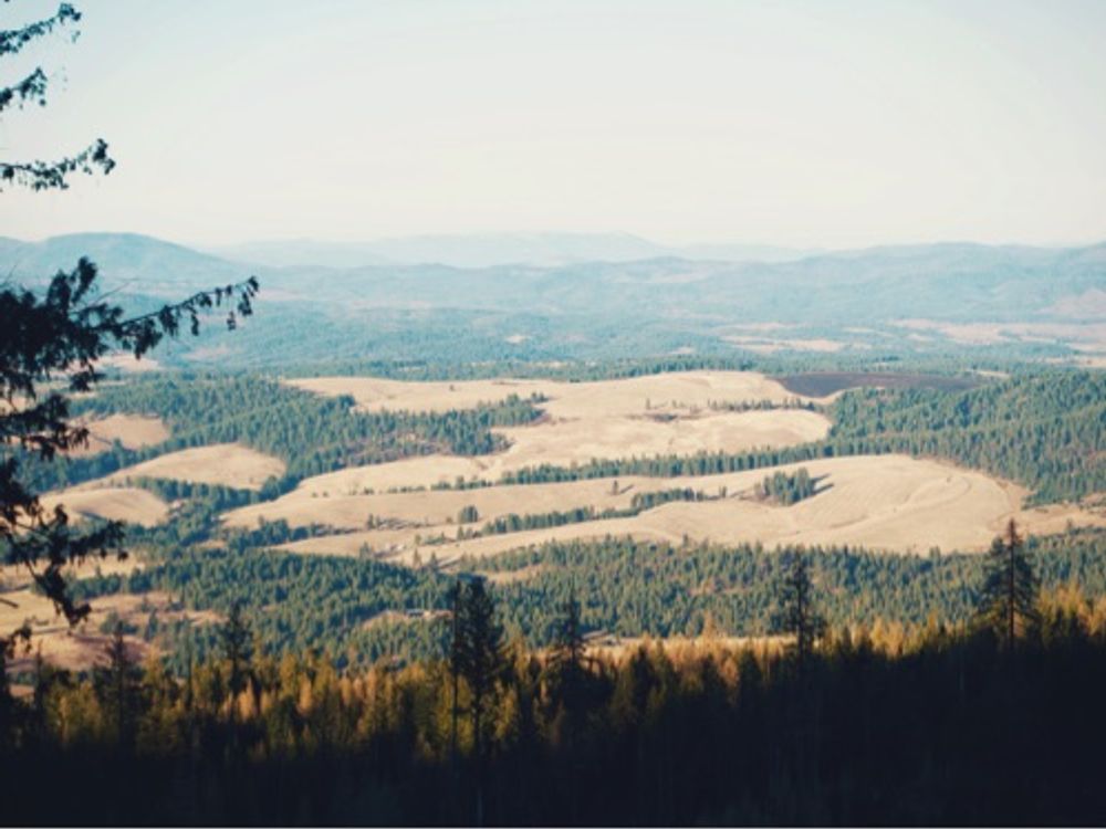 East Lookout — image 1