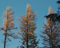 East Lookout 3