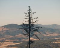East Lookout 4