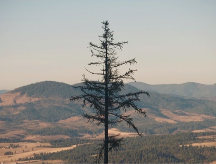 East Lookout 4