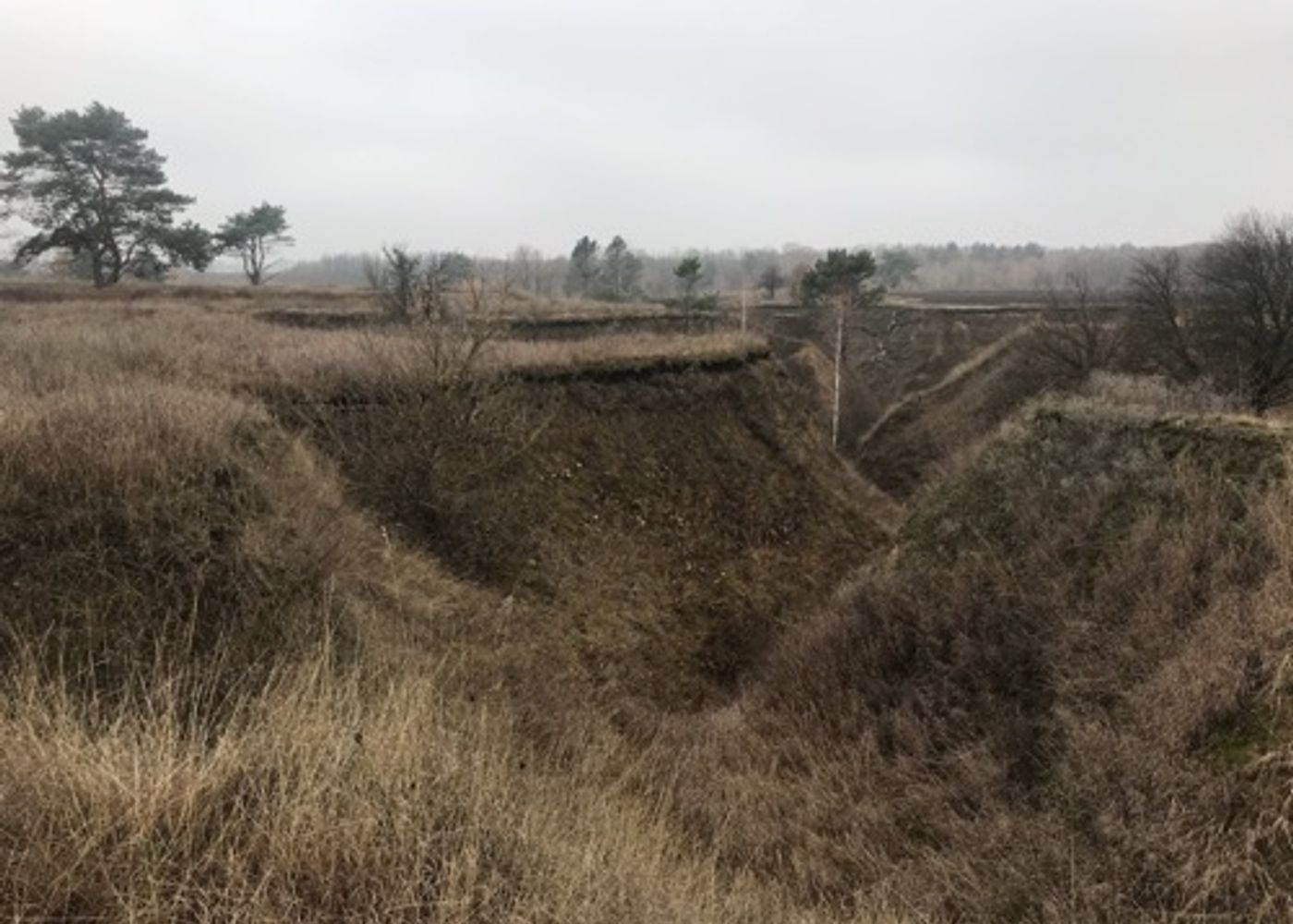 Vasylkiv hills 1