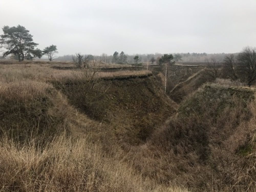 Vasylkiv hills — image 1