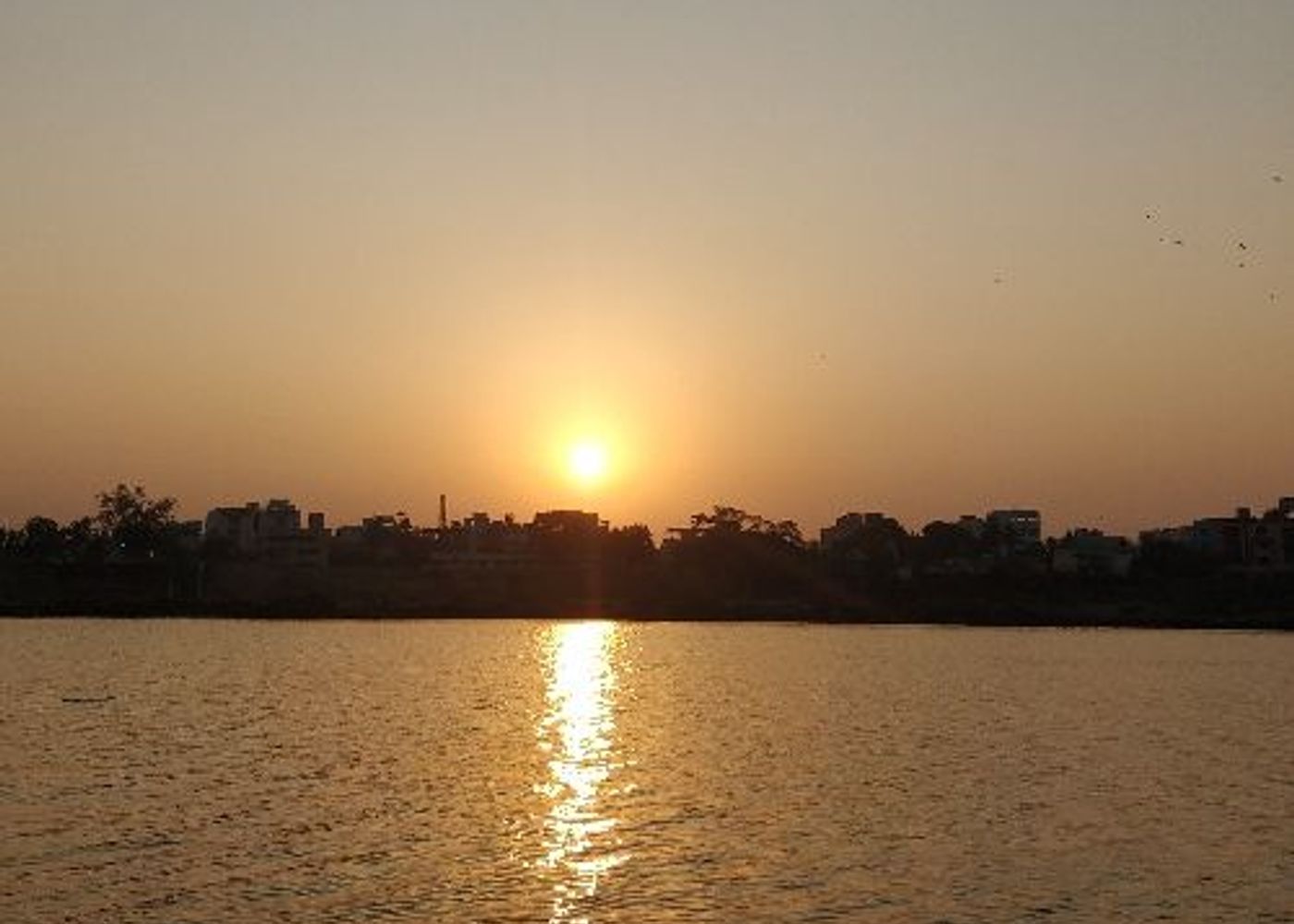 Island in Godavari 1