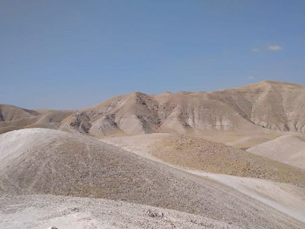 ALMOG — image 1