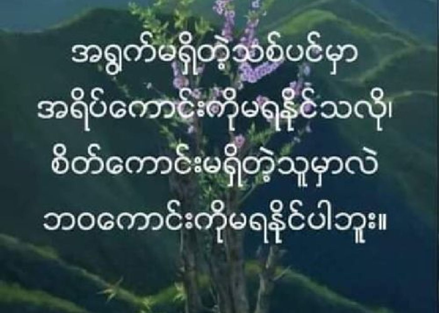တောင်ဒဂုံ 1