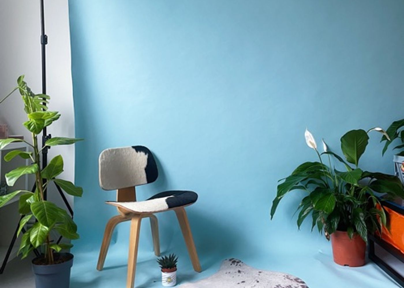 Humble Daylight Studio 1