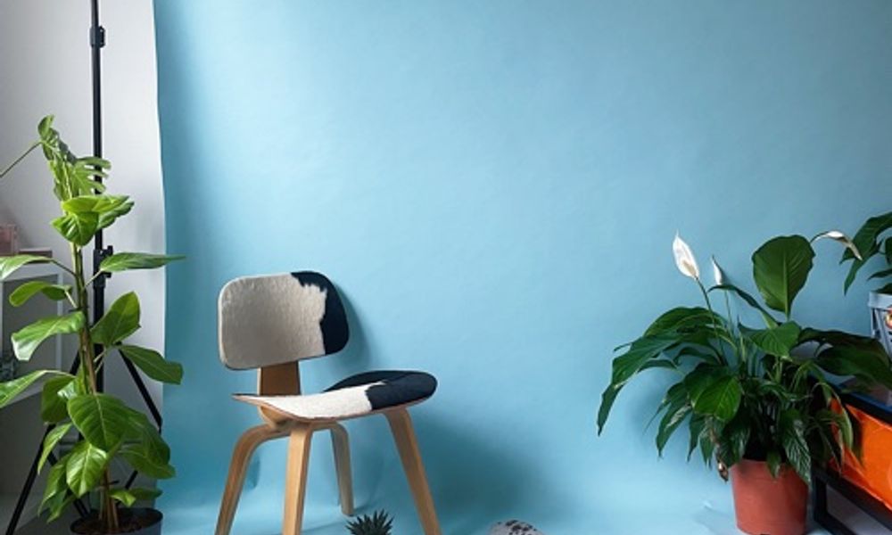 Humble Daylight Studio