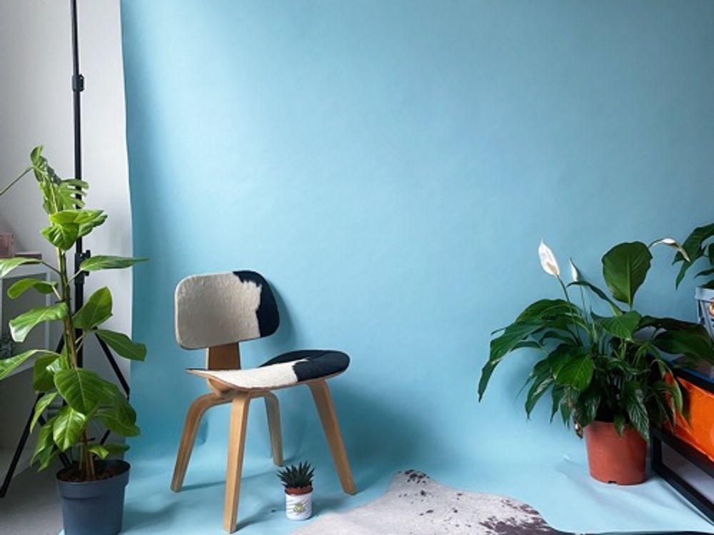 Humble Daylight Studio — image 1