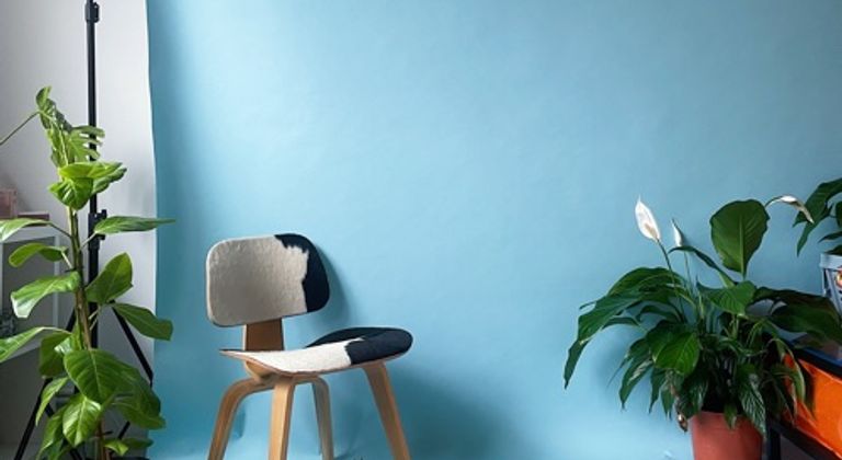 Humble Daylight Studio