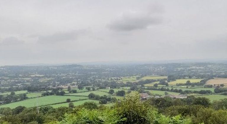 Comstock Beakon
