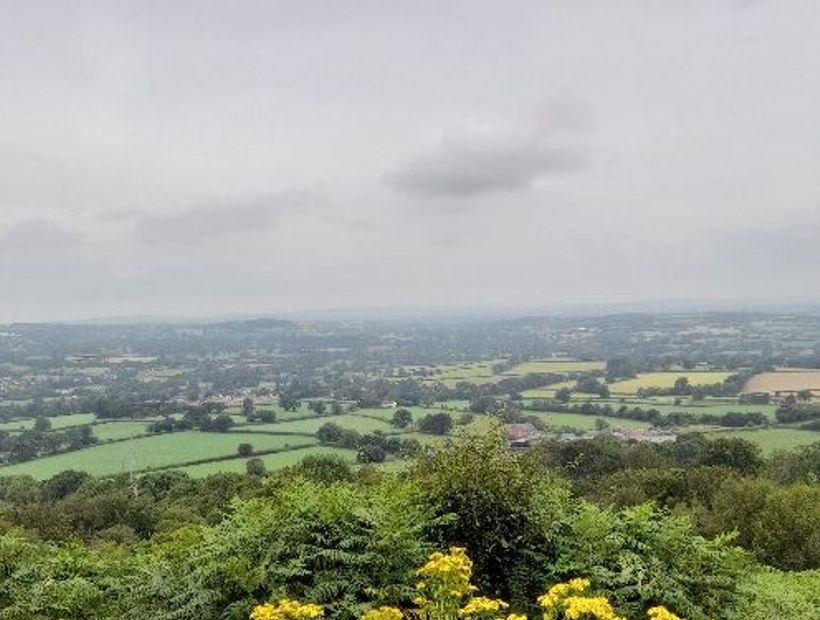 Comstock Beakon 4